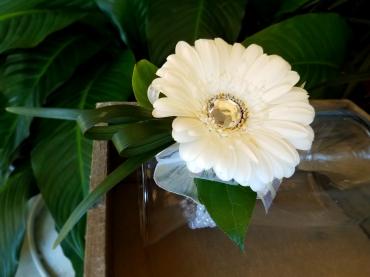 Wrist Corsage-Bold-White