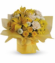Sunshine Suprise Present