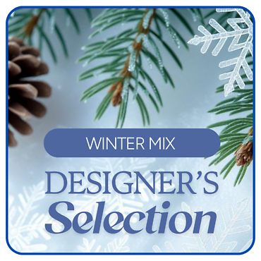 Designer\'s Choice Winter Flowers