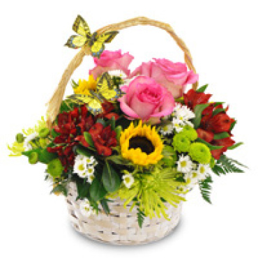 Garden Brights Basket