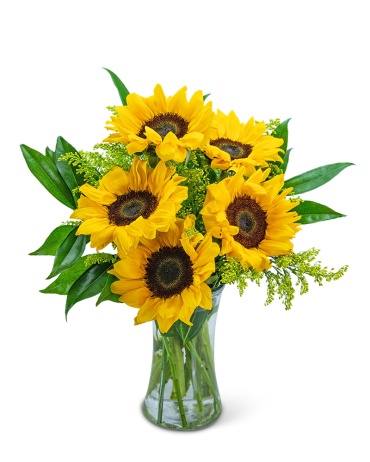 Sprinkle of Sunflowers