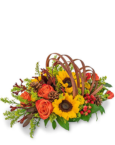 Creative Cornucopia