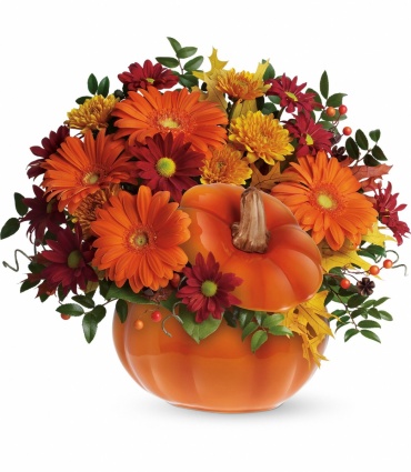 Country Pumpkin Deluxe