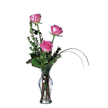 Tender Trio of Roses
