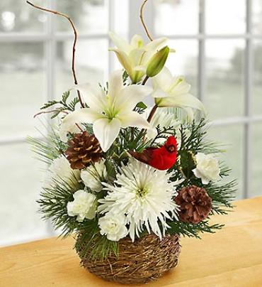 Wintertime Bird\'s Nest of Flowers