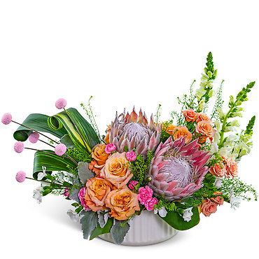 Prosecco Protea