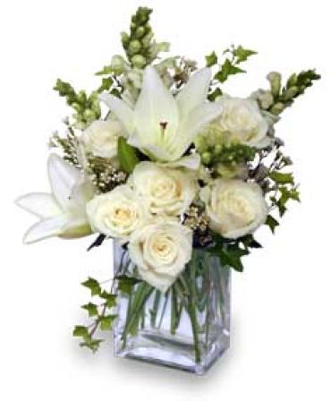 Wonderful White by Flower Shop Network
