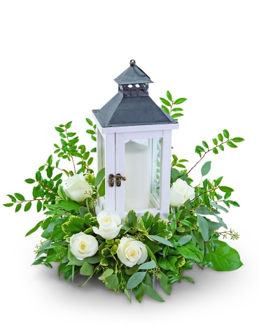 Signature White Rose Lantern