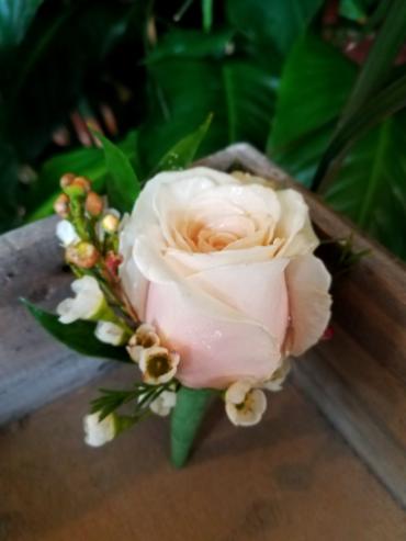 Boutonniere - Classic - Blush rose
