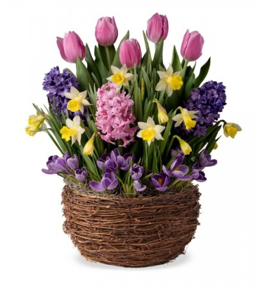 Welcome Spring Bulb Garden