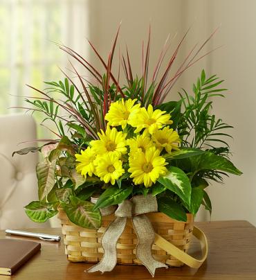 Dish Garden with Fresh Cut Flowers