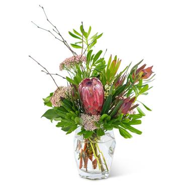 Posh Protea