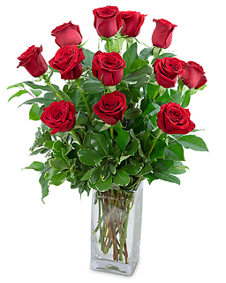 Roses & Romance