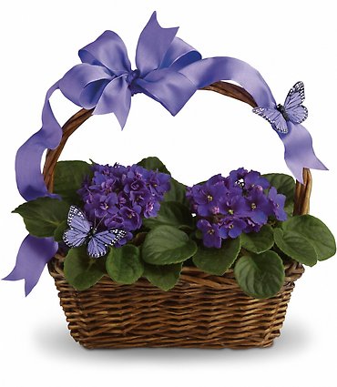 Violet and Butterfly Basket