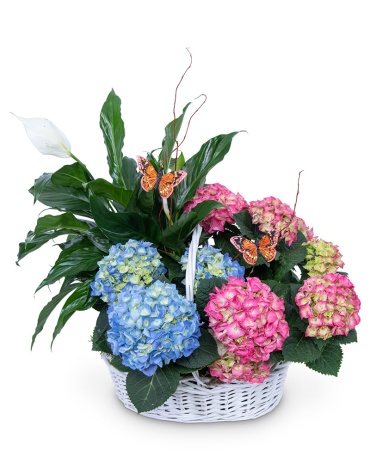 Bountiful Basket with Butterflies