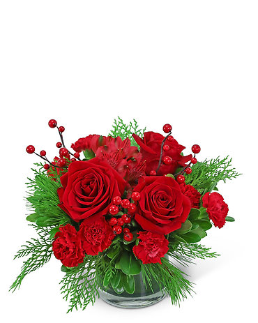 Holly Berries