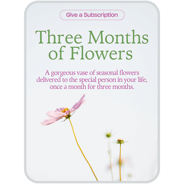 Bouquet of the Month Club (3)