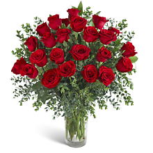 Two Dozen Red Hot Roses